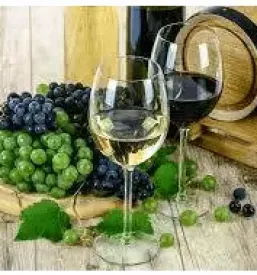 Pokušina vin Vipava