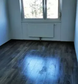 Hišna popravila Ljubljana in okolica
