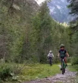 Mountainbiking bela krajina