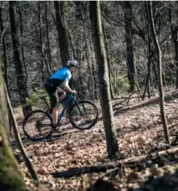 Mountainbiking bela krajina