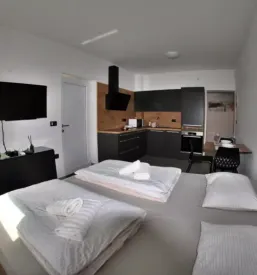 Najem dobrega apartmaja v kopru
