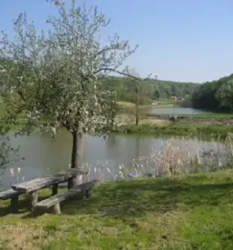 Najem prostora za praznovanje na turisticni kmetiji stajerska