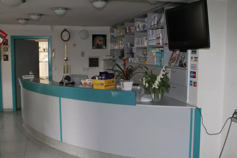Nevrologija in nevrokirurgija, ortopedija pri mačkah in psih Slovenija
