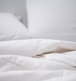 Nocitev na izletniski kmetiji zalec