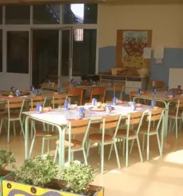 Obsolske dejavnosti cirkovce