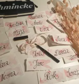 Organizacija porok gorenjska primorska hrvaska