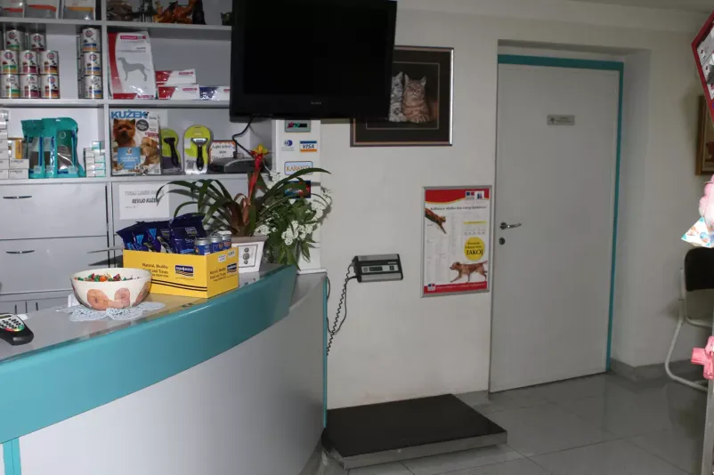 Ortopedija pri psih in mačkah Slovenija