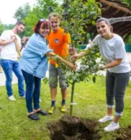 Osebe z motnjo v dusevnem razvoju ljubljana