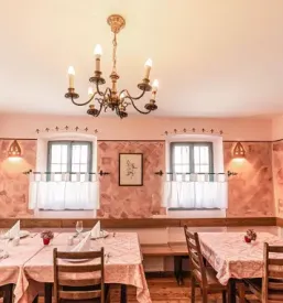 Pice Domžale