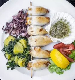 Pizzerija Radomlje Homec
