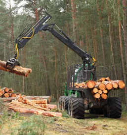 kvaliteten posek in spravilo lesa