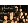 POSEK IN SPRAVILO LESA BOJAN HUDOROVAC S.P.