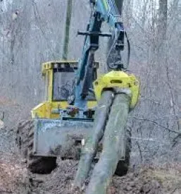 Spravilo in odkup lesa Osrednja Slovenija