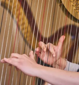 Poucevanje glasbe in instrumentov koroska