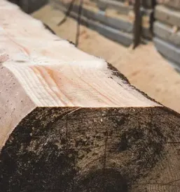 Prodaja kvalitetnih lesenih desk