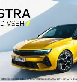 Prodaja osebnih vozil notranjska
