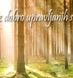 Peleti za kurjavo