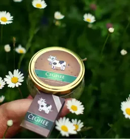 Prodaja veganskega masla slovenija
