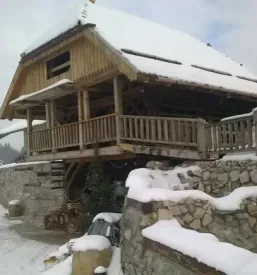 Prostor za zakljucene družbe slovenske konjice