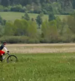 Rent a bike cerknica