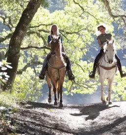 Riding school bled