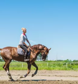 Riding school bled