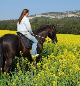 Riding school bled