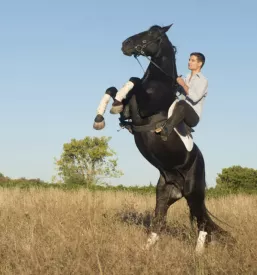 Riding school bled