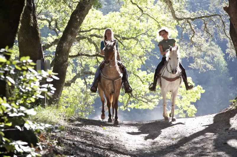 Horse riding Bled, Slovenia