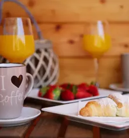 Bed and breakfast Tolmin