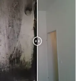 Sanacije aradi skode vode stajerska