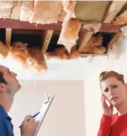 Sanacije plesni stajerska