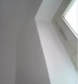 Sanacije plesni stajerska