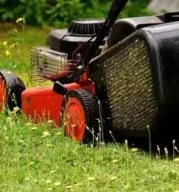 Servis vrtne opreme Goriška, Vipava