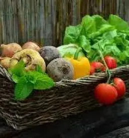 Sezonska zelenjava osrednja slovenija