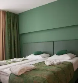 Vrhunska slikopleskarska in fasaderska dela Slovenija