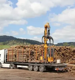 Spravilo lesa po slovenija