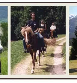 Terrain horse riding in Bohinj