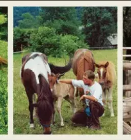 Terrain horse riding