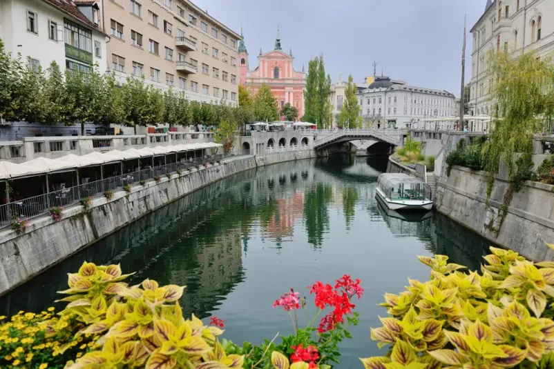 The best restaurant Ljubljana Center