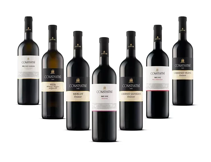 The best winery in Goriška Brda