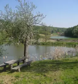 Turisticna kmetija bodkovci podravska