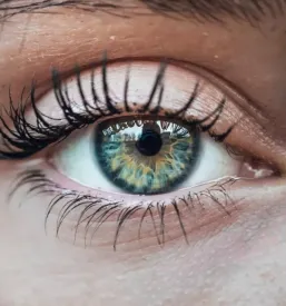 Ugodna optika krsko