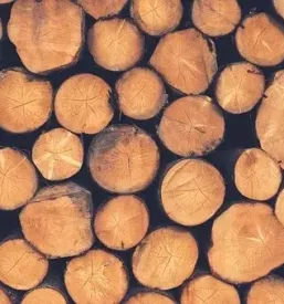 Odkup lesa Gorenjska