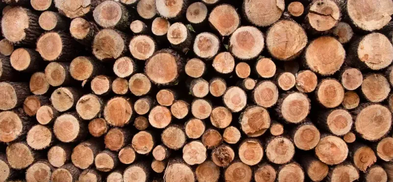 Cenovno ugoden posek in spravilo lesa Gorenjska