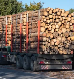 Ugodna gozdarska mehanizacija Savinjska regija