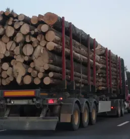 Ugodna gozdarska mehanizacija Savinjska, okolica