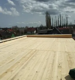 Ugodna izdelava ravnih streh Štajerska