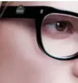Ugodna optika ljutomer