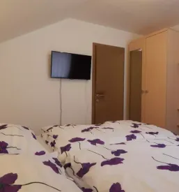 Prenočišča Ribnica